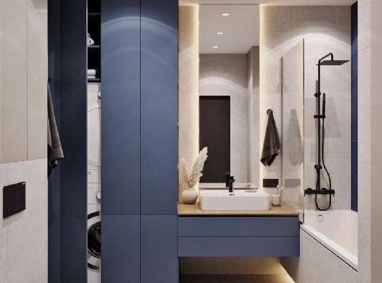 Çamaşır Ve Kurutma Makinalı Banyo-Dekorasyonu